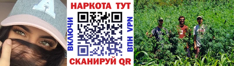 Меф мяу мяу Курильск